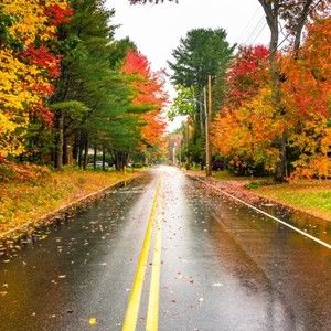 Meet your Posher, Douglas